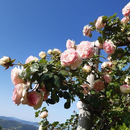 Villa La Moraiola Passignano sul Trasimeno Zewnętrze zdjęcie