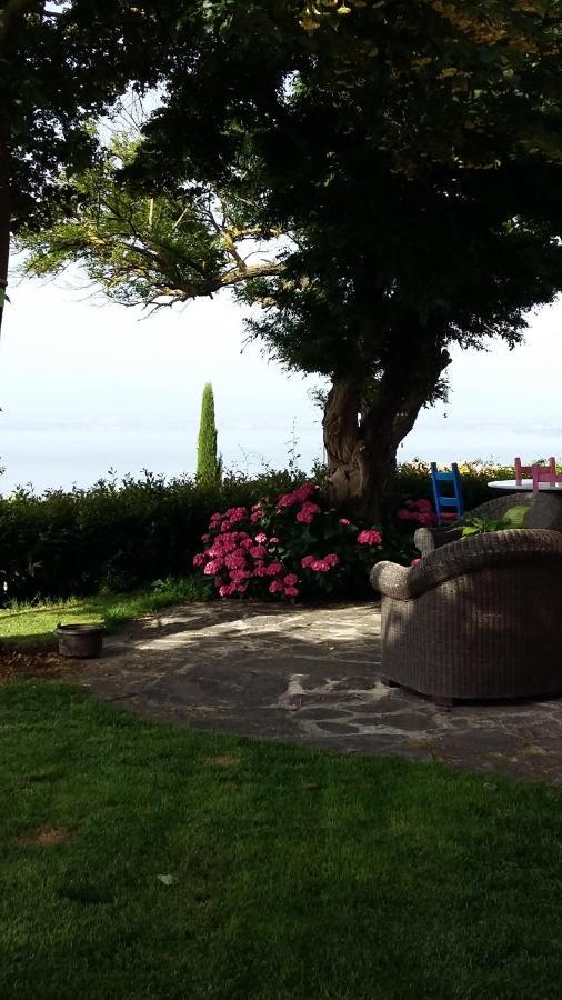 Villa La Moraiola Passignano sul Trasimeno Zewnętrze zdjęcie