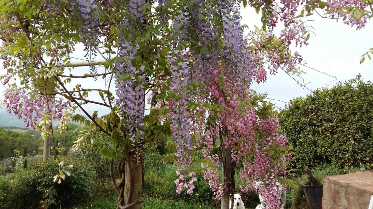 Villa La Moraiola Passignano sul Trasimeno Zewnętrze zdjęcie