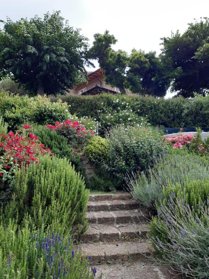Villa La Moraiola Passignano sul Trasimeno Zewnętrze zdjęcie