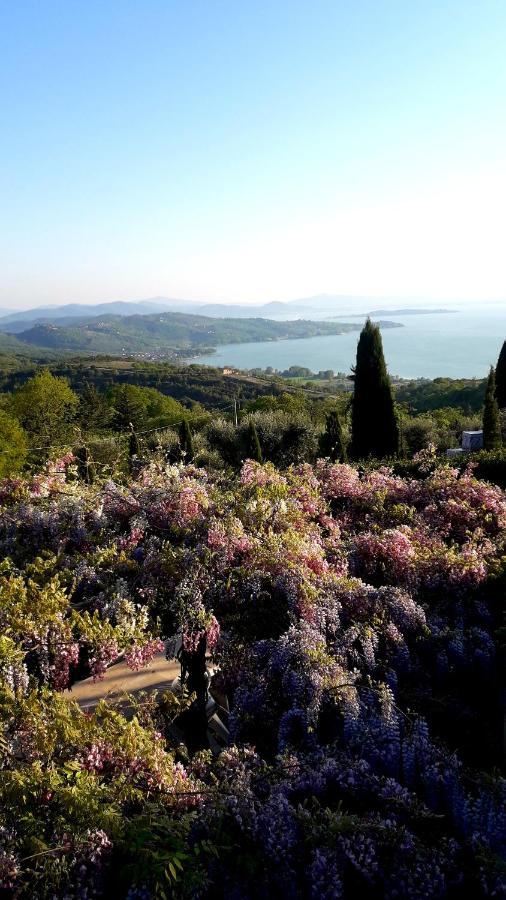 Villa La Moraiola Passignano sul Trasimeno Zewnętrze zdjęcie