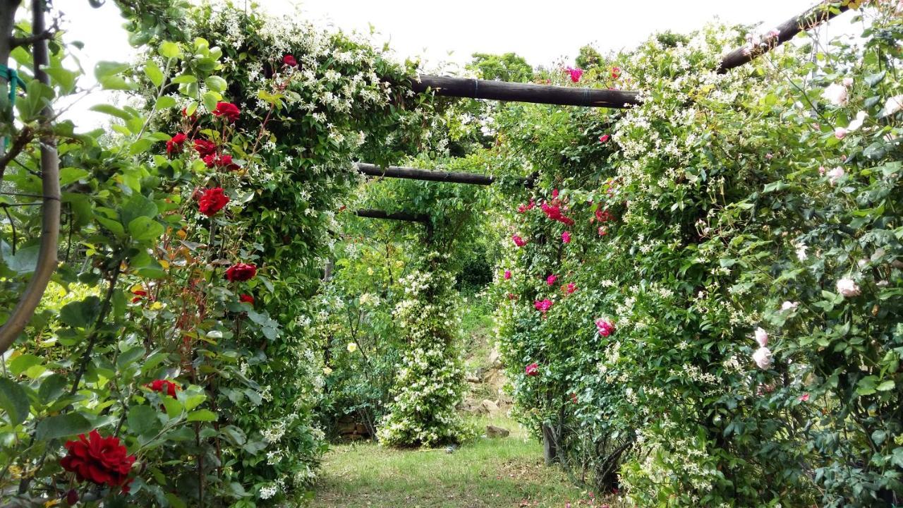Villa La Moraiola Passignano sul Trasimeno Zewnętrze zdjęcie