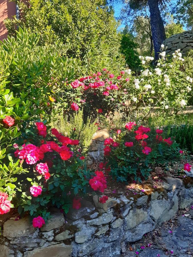 Villa La Moraiola Passignano sul Trasimeno Zewnętrze zdjęcie
