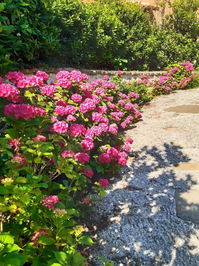 Villa La Moraiola Passignano sul Trasimeno Zewnętrze zdjęcie