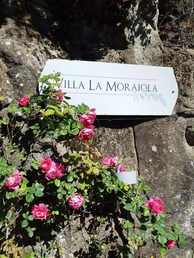 Villa La Moraiola Passignano sul Trasimeno Zewnętrze zdjęcie
