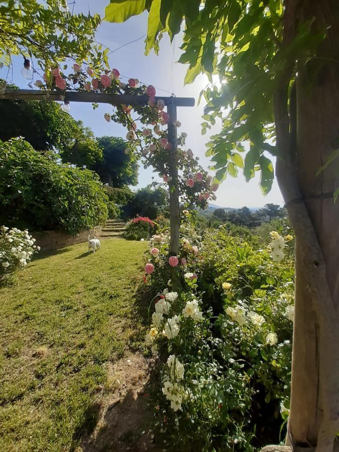 Villa La Moraiola Passignano sul Trasimeno Zewnętrze zdjęcie