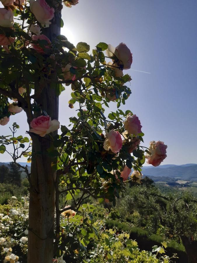 Villa La Moraiola Passignano sul Trasimeno Zewnętrze zdjęcie